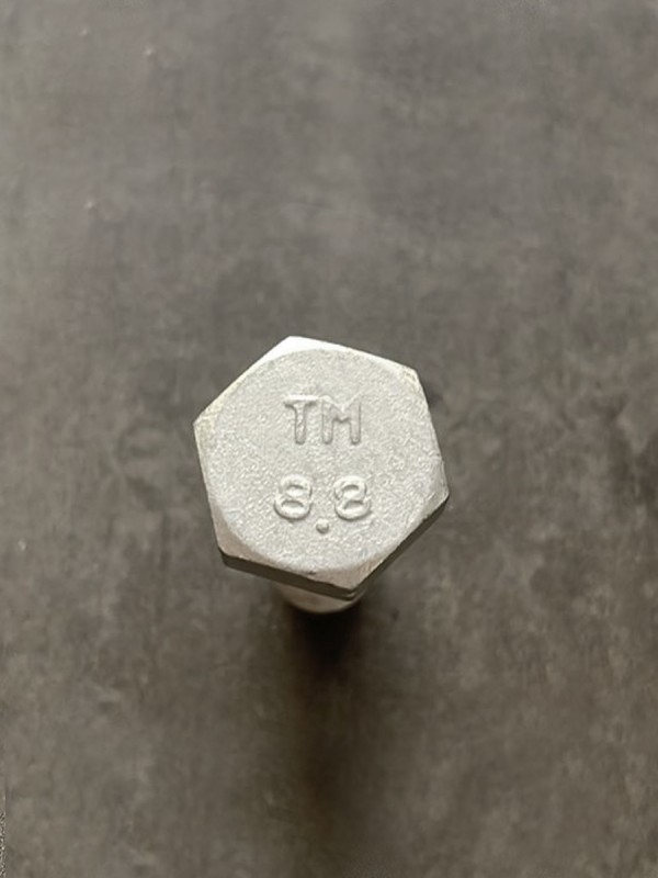 Болт М10х30х1,25 1/13069/21