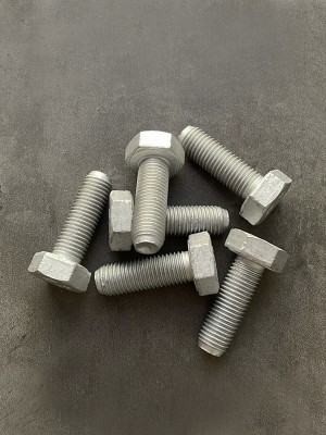 Болт М10х30х1,25 1/13069/21