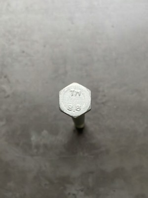 Болт М12х130х1,25 1/55419/21