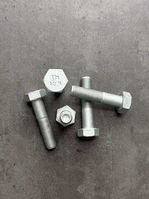 Болт М10х40х1,25 1/13070/31